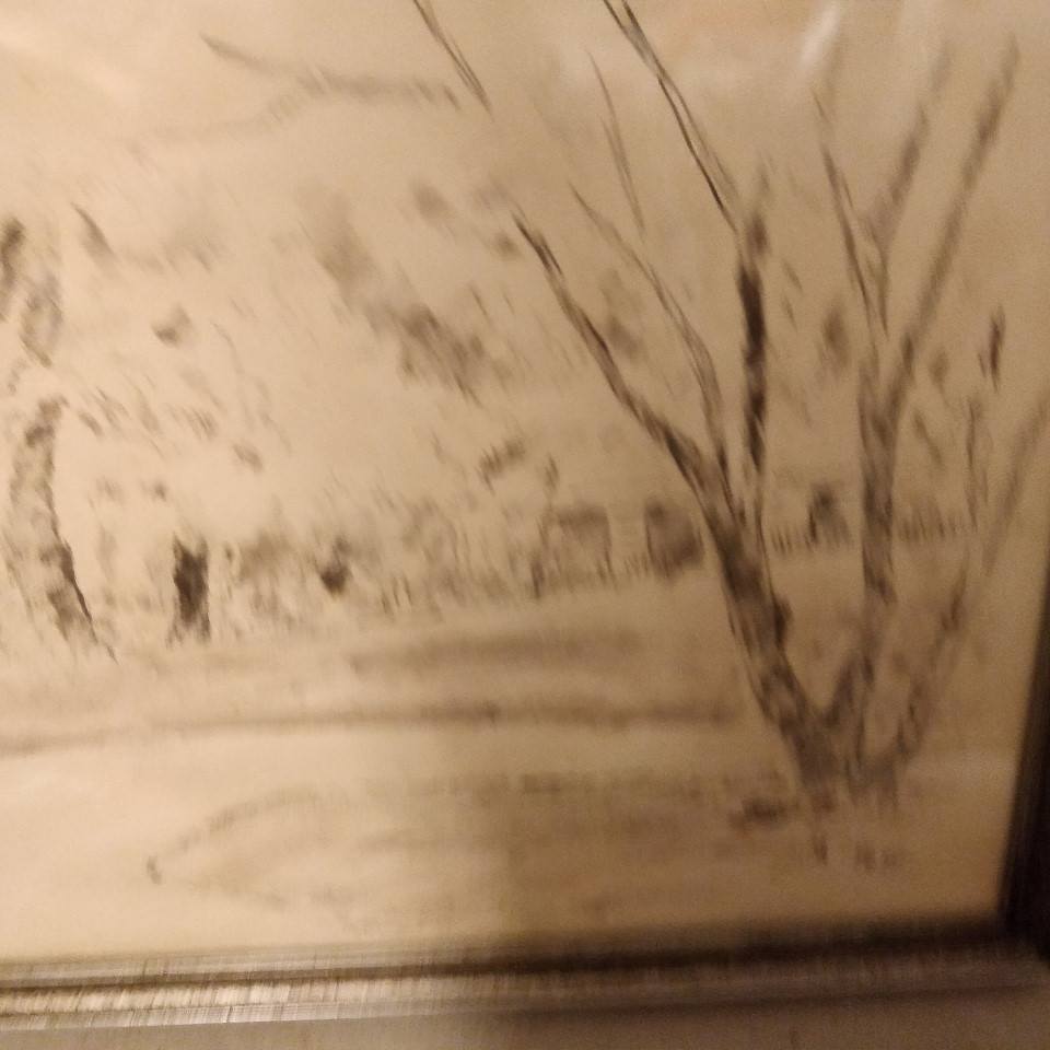 Sort, hvid akvarel, træer, af Johannes Frederiksen, i sølvramme.