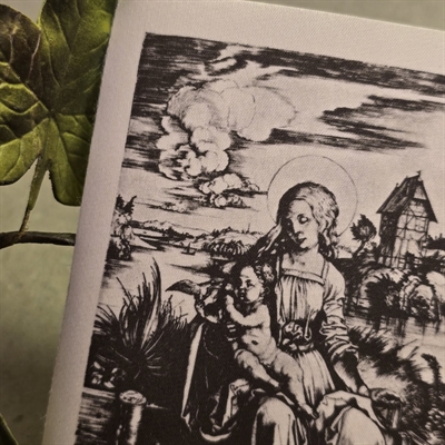 dame-barn-kat-sort-hvidt-Albrecht-Durer-gammel-tysk-print-