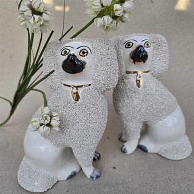 rispuddel-hunde-hvide-porcelaenshunde-Staffordshire-gamle