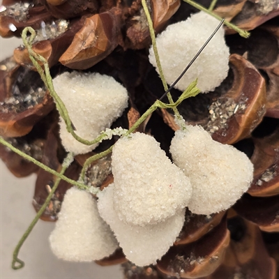 hvide-sukkerklokker-gammel-juletræspynt-juleklokker