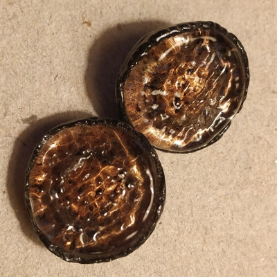 stor-boblet-overflade-brun-sort-rund-vintage-plastik-knapper