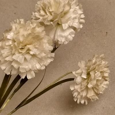 buket hvide nelliker i vokset papir gamle tyske papirblomster kunstige blomster