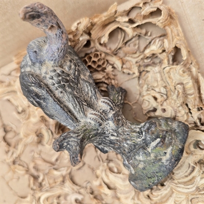 oern-på-gren-gammel-legetoejsfugl-1930erne