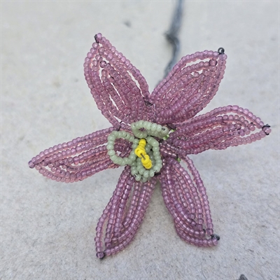 glasperleblomst-lilla-seksbladet-grå-gul-midte-gammel-fransk-håndarbejde