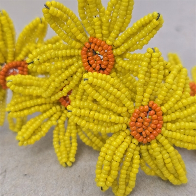 tibladet-gul-perleblomst-orange-midte-gammel-glasperleblomst-Frankrig