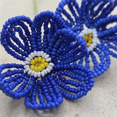 kongeblaa-perleblomst-hvid-gul-midte-gammel-glasperleblomst-Frankrig