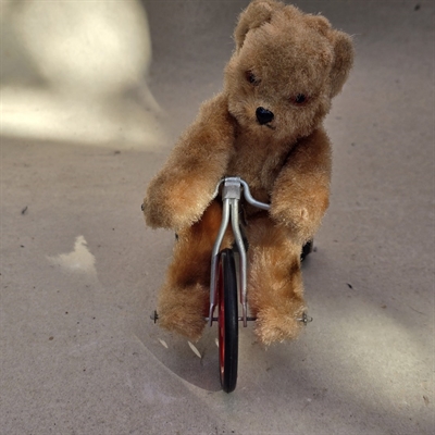 brunlig-plysbamse-på-trehjulet-retro-cykel-roed-blaa-hvid-optraek-hjulene