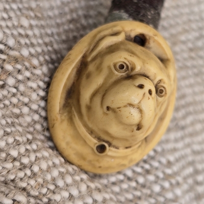 hundehoved-praeget-i-plastikmateriale-eller-gammelt-bakkelit