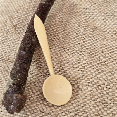 saltske-ske-i-ben-benske-gammel-til-saltkar