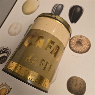 creme-beige-metal-rund-kaffedåse-guldtekst-cafax-kaffe-gammel-opbevaringsdåse