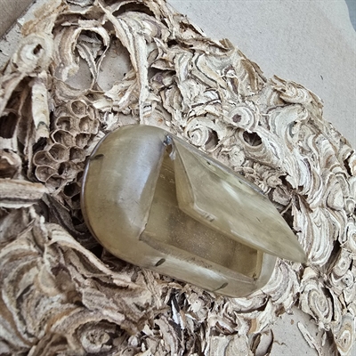 lille-oval-hornaeske-med-laag-gammel-snusaeske-opbevaring