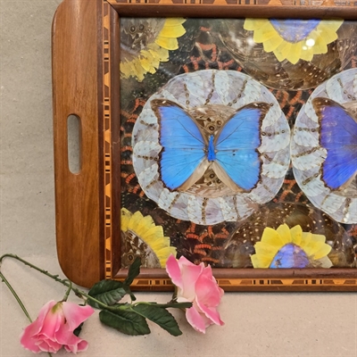 sommerfugle-sommerfuglevinge-dekoration-intarsiakant-trae-bakke-gammel-sydamerikansk-souvenier-